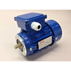B-14-4P 080, 1500rpm, 0,55kW, 19/120, 400V elektros variklis